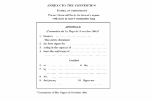sample annex of apostille certificate.png